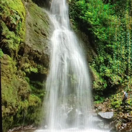 Villa Tengiz Chakvistavi Esterno foto