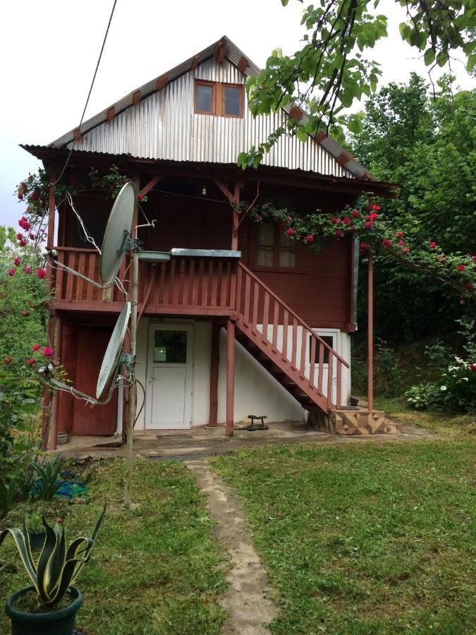 Villa Tengiz Chakvistavi Esterno foto