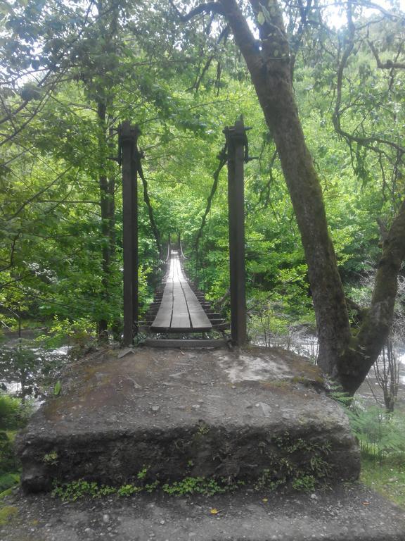 Villa Tengiz Chakvistavi Esterno foto